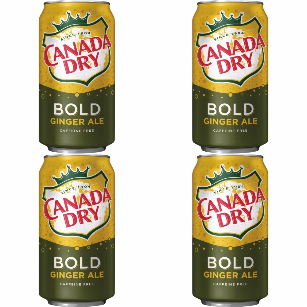 Bold Ginger Ale Cans, 4 Pack